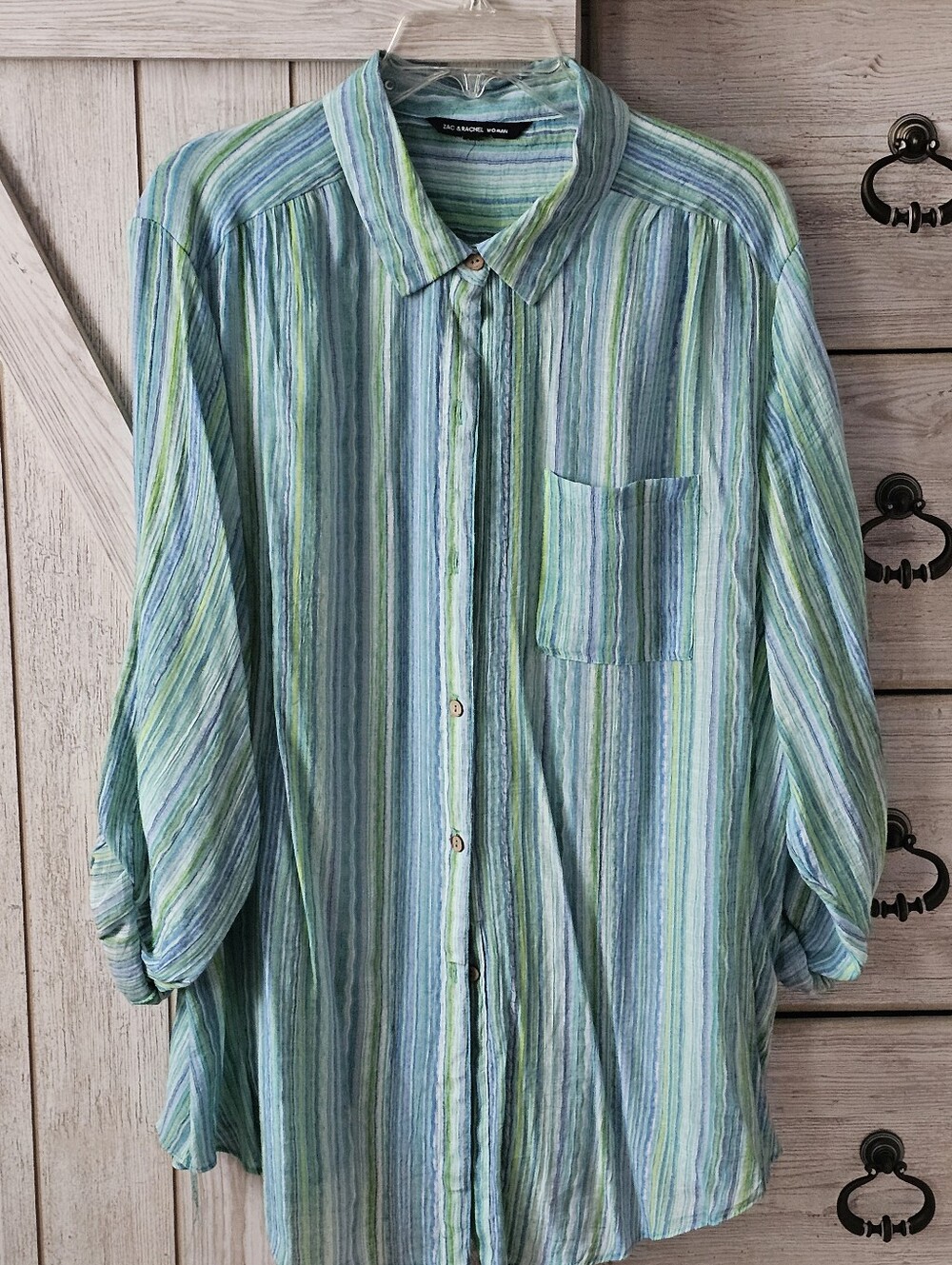 Womans Zac & Rachel  Striped Button-Up Shirt in Light Blue and Green